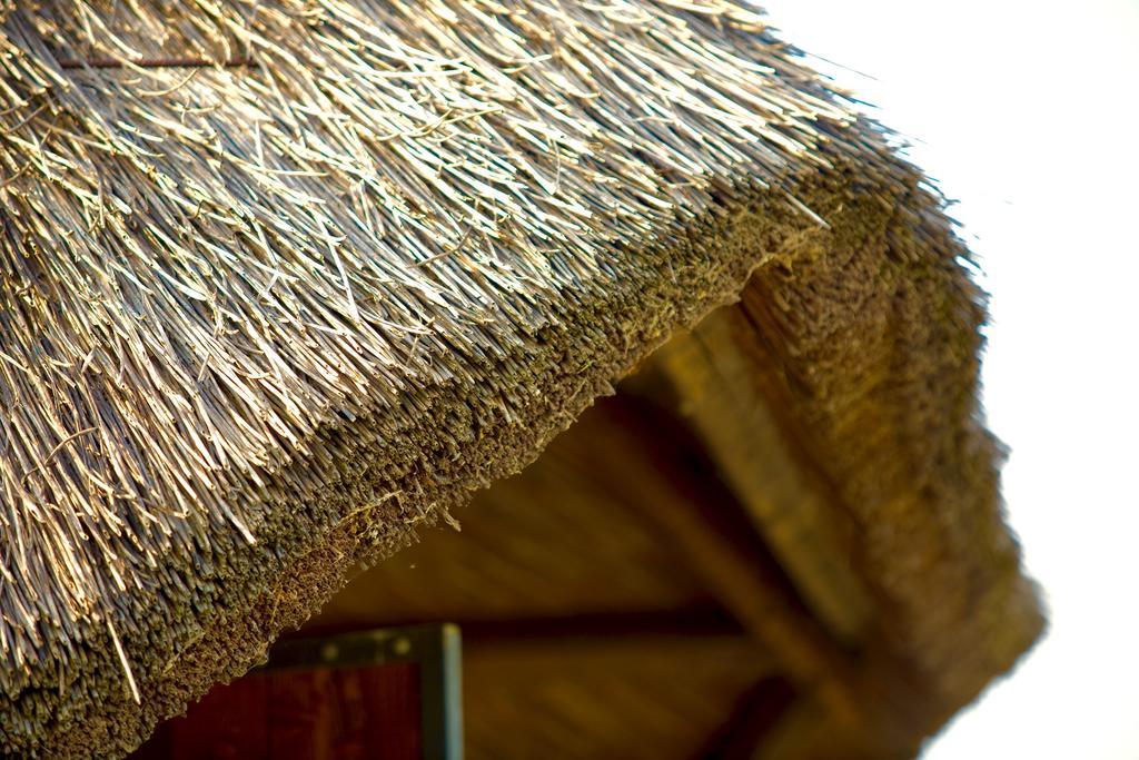Agriturismo Bassara Le Capanne Argenta Ngoại thất bức ảnh